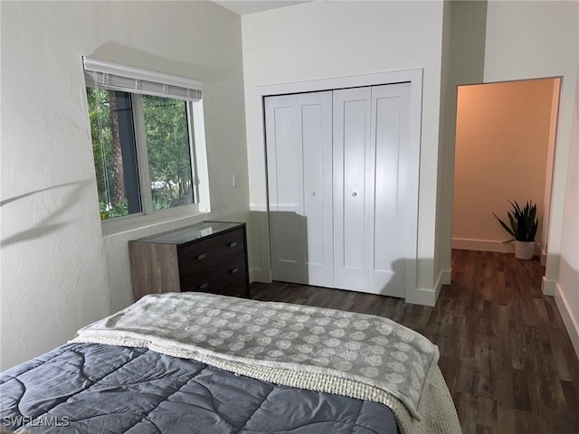 bedroom featuring a closet and dark hardwood / wood-style floors