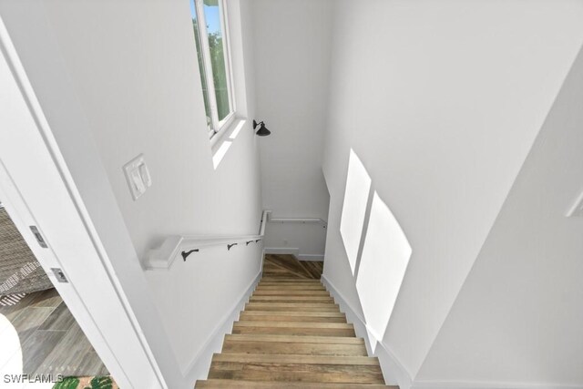 staircase featuring wood-type flooring