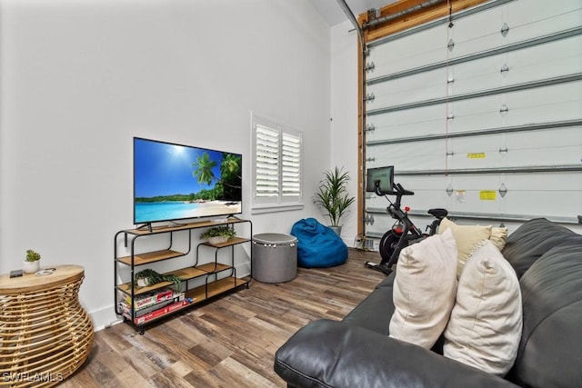 living room featuring hardwood / wood-style flooring