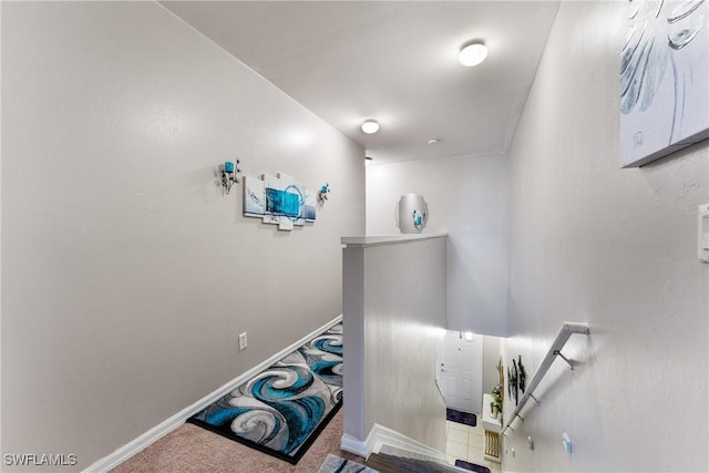 staircase featuring carpet floors