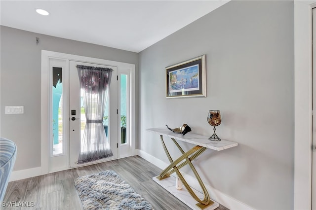 entrance foyer with light hardwood / wood-style flooring