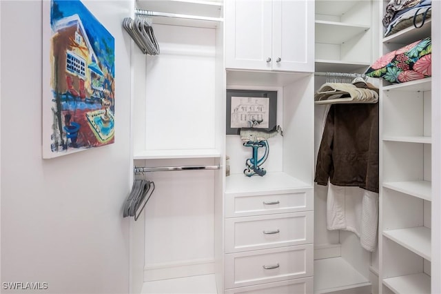 view of spacious closet