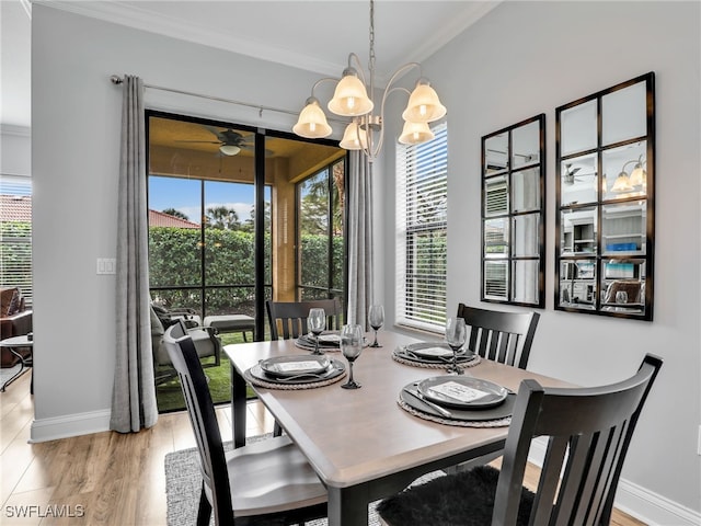 dining room with ceiling fan with notable chandelier, a healthy amount of sunlight, ornamental molding, and light hardwood / wood-style floors