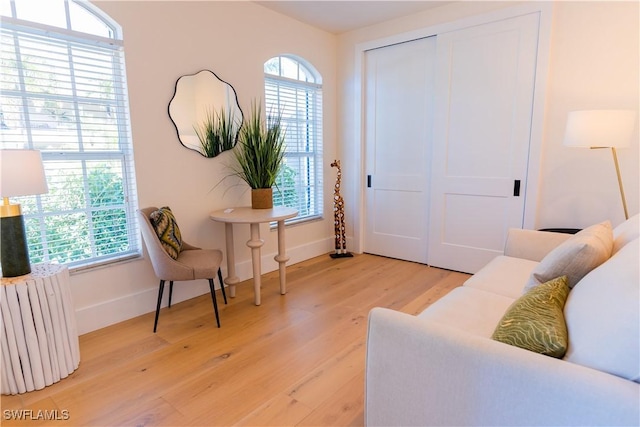 living area with radiator, light hardwood / wood-style floors, and a wealth of natural light