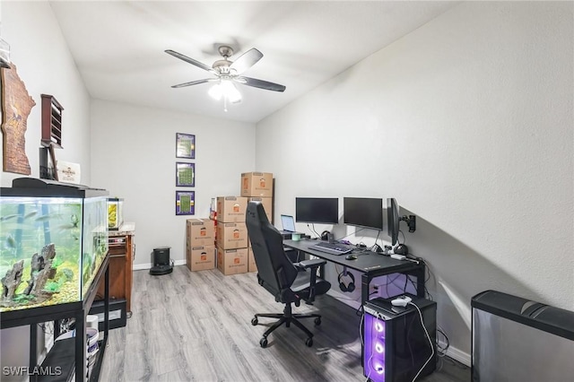 office space with ceiling fan and light hardwood / wood-style flooring