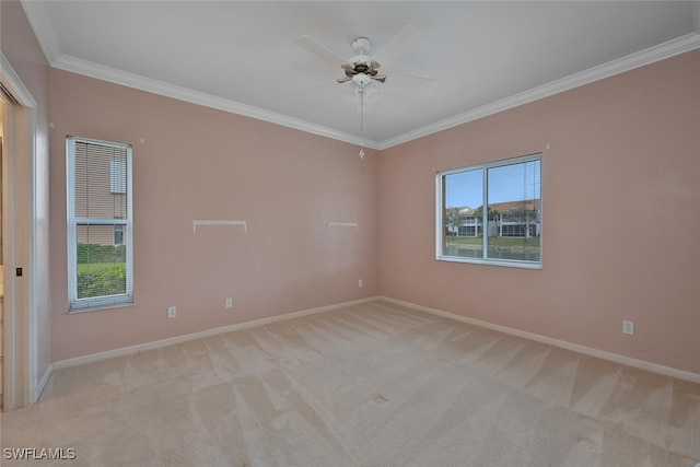 carpeted empty room with crown molding and ceiling fan