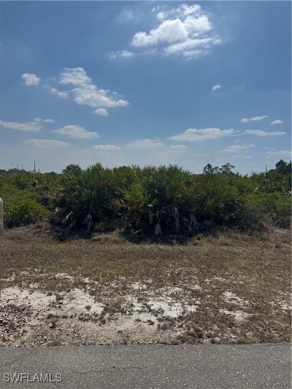 1306 Abbott Ave, Lehigh Acres, FL 33972