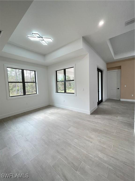 empty room with plenty of natural light, light hardwood / wood-style flooring, and a tray ceiling