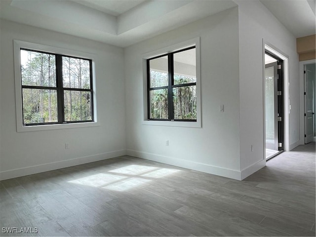 empty room featuring a tray ceiling and light hardwood / wood-style flooring