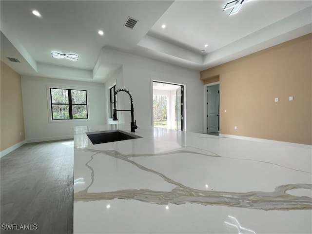 kitchen with sink, a tray ceiling, and a wealth of natural light