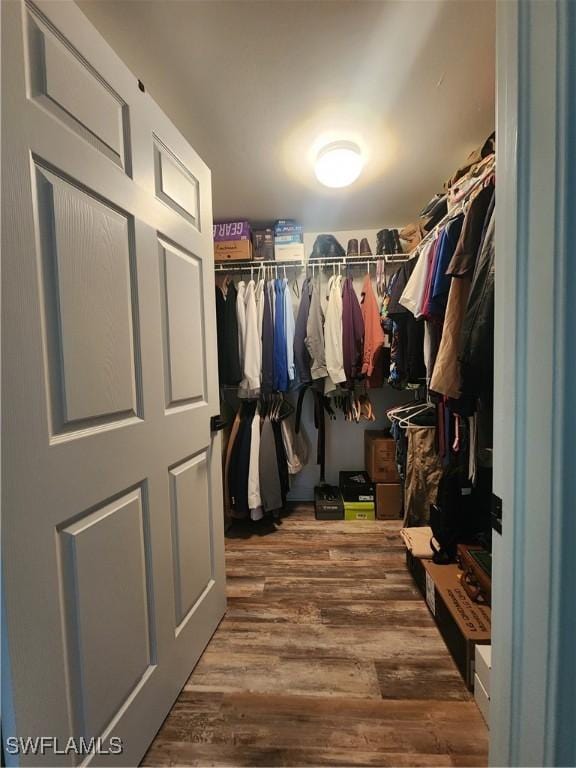 walk in closet featuring dark hardwood / wood-style floors