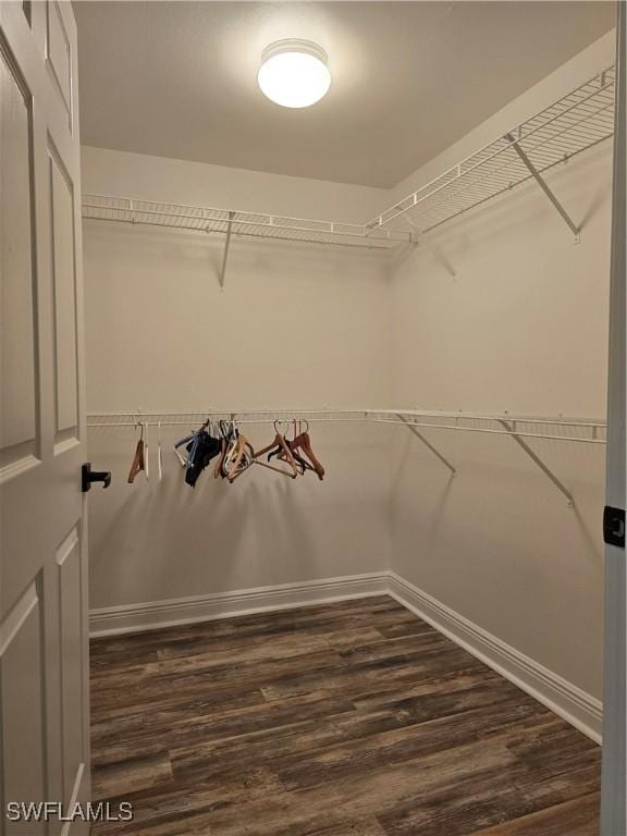 walk in closet with dark hardwood / wood-style floors