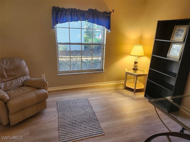 sitting room featuring wood-type flooring