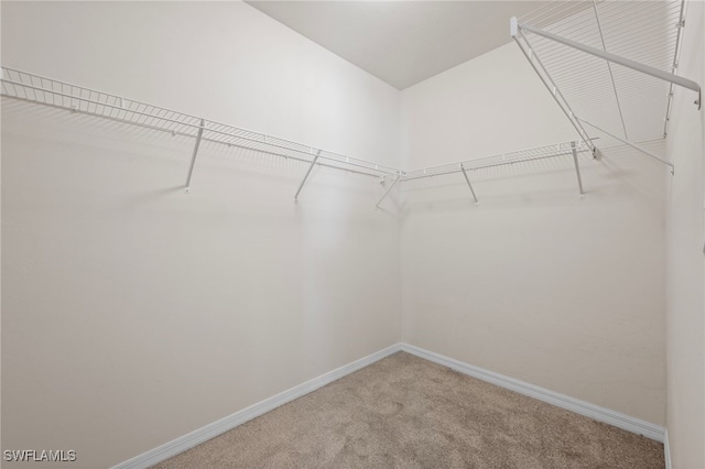 spacious closet with carpet floors