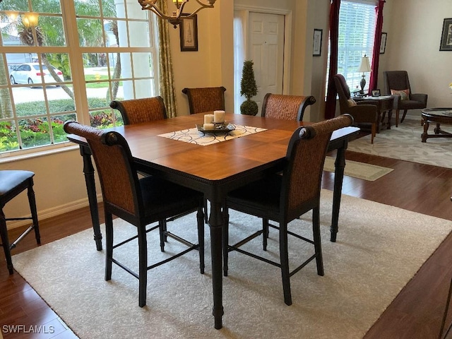 dining room with wood-type flooring