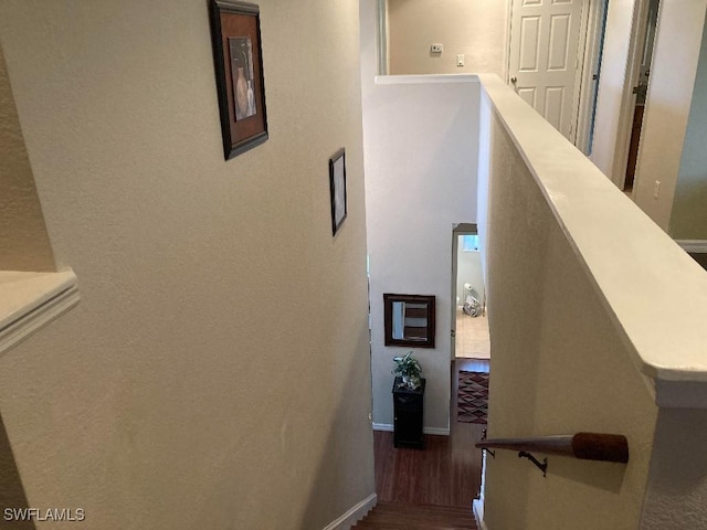 stairway featuring hardwood / wood-style flooring