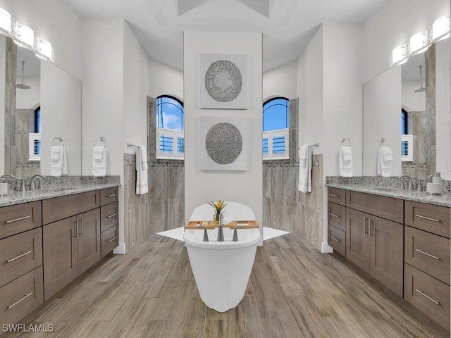 bathroom with vanity, wood-type flooring, and a shower