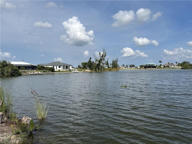 1309 NW 20th Ct, Cape Coral FL, 33993 land for sale