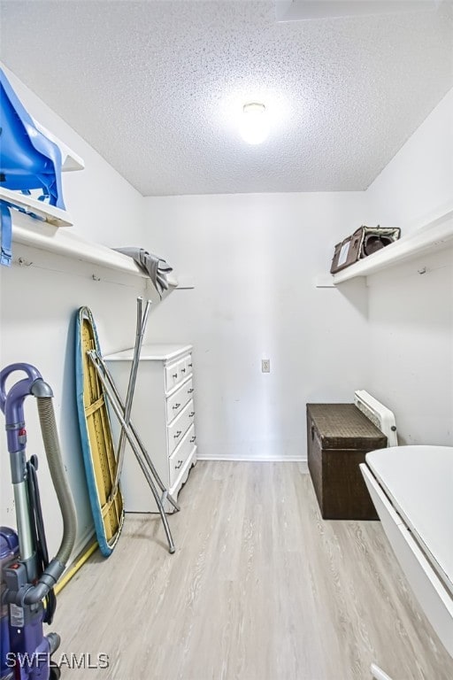 spacious closet with light wood-type flooring