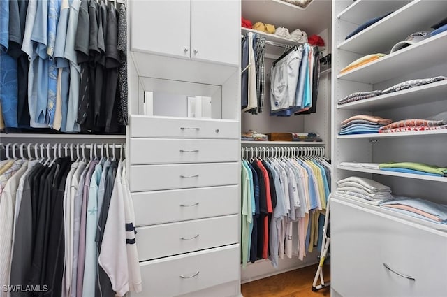 view of spacious closet