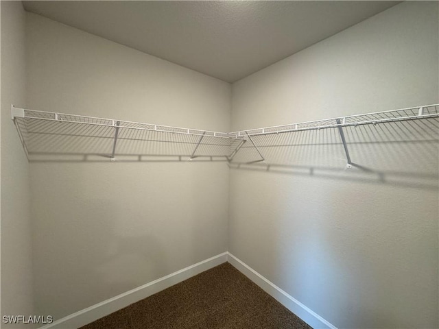 walk in closet featuring dark colored carpet