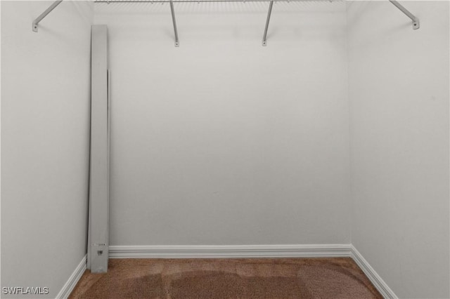 walk in closet with carpet