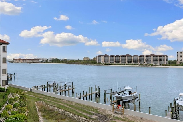 dock area with a water view