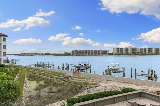 dock area with a water view