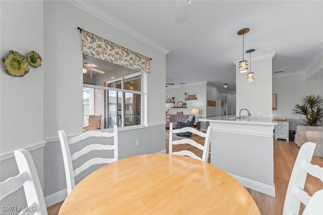 dining space featuring ceiling fan, ornamental molding, sink, and light hardwood / wood-style flooring