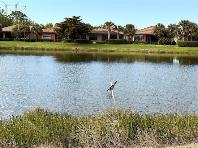 property view of water