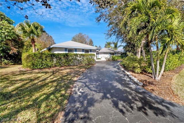 single story home featuring a front lawn