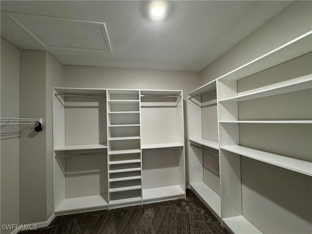 spacious closet with dark colored carpet