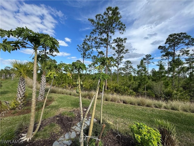 view of nature