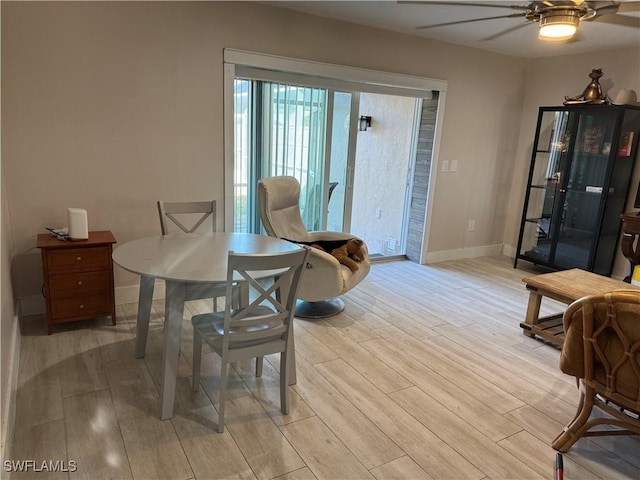 dining room with ceiling fan and light hardwood / wood-style flooring