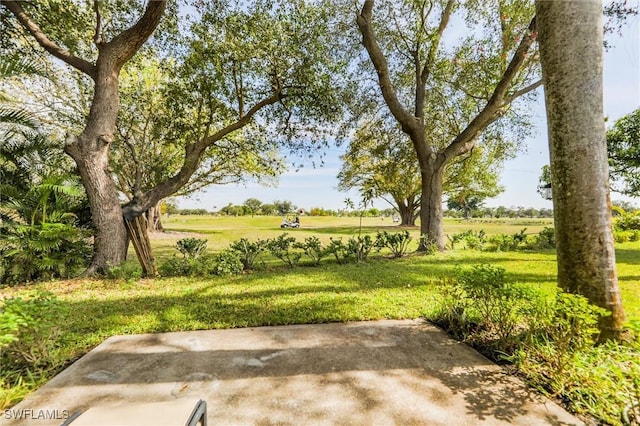 view of yard featuring a patio