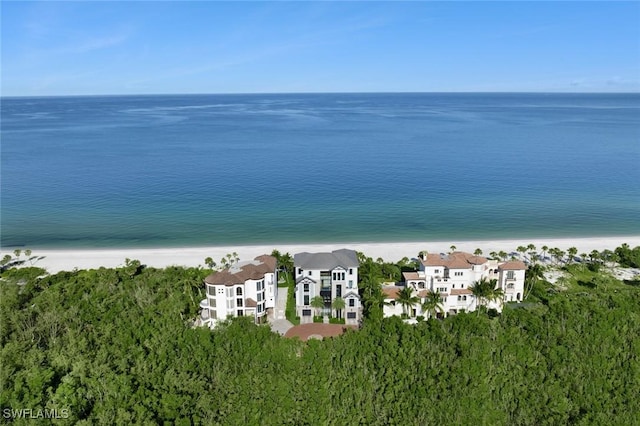 property view of water with a beach view