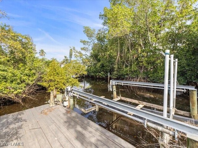 dock area with a water view