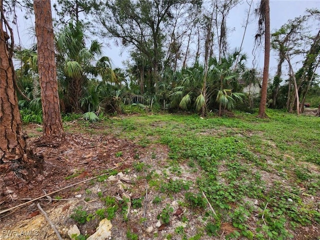 462 Columbus Blvd S, Lehigh Acres FL, 33974 land for sale