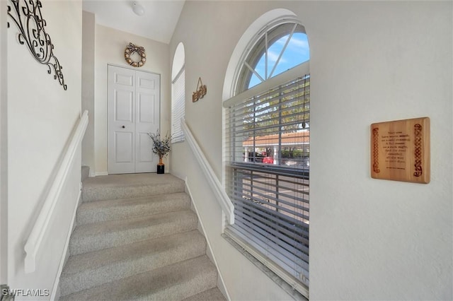 staircase with carpet flooring