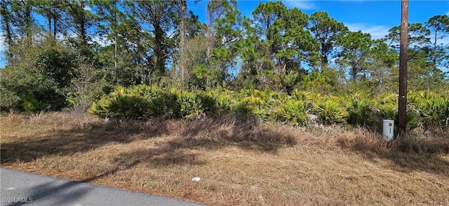 827 Cadis St E, Lehigh Acres FL, 33974 land for sale