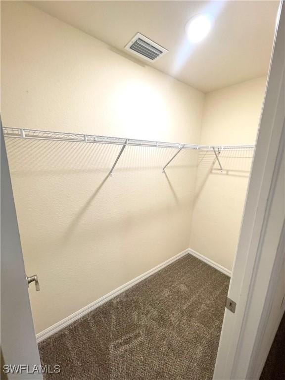 spacious closet featuring carpet floors