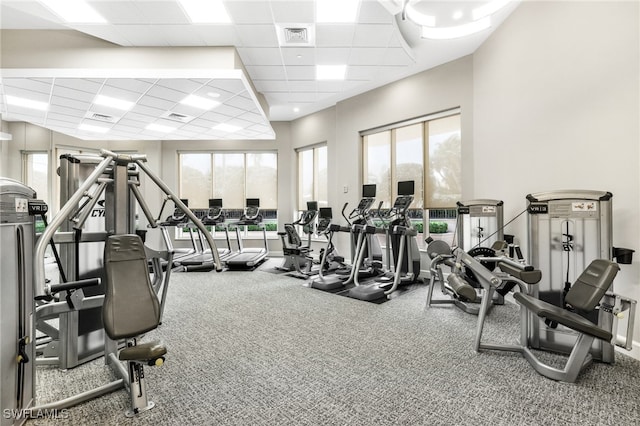 gym with a drop ceiling and carpet flooring