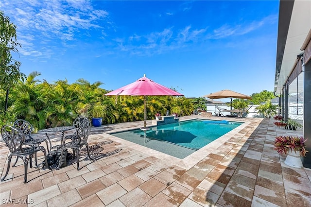 view of swimming pool with a patio