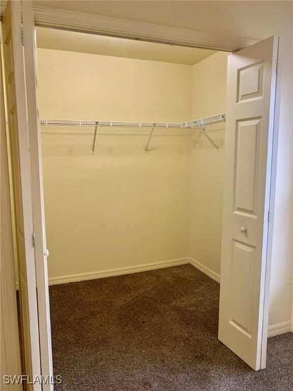 spacious closet with dark carpet