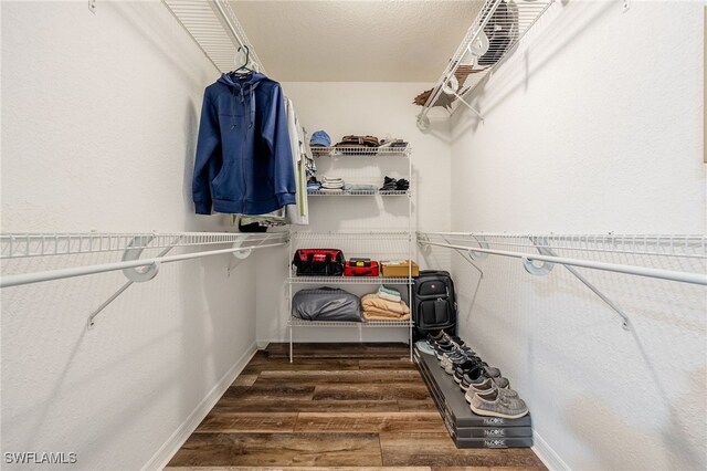 spacious closet with dark hardwood / wood-style floors