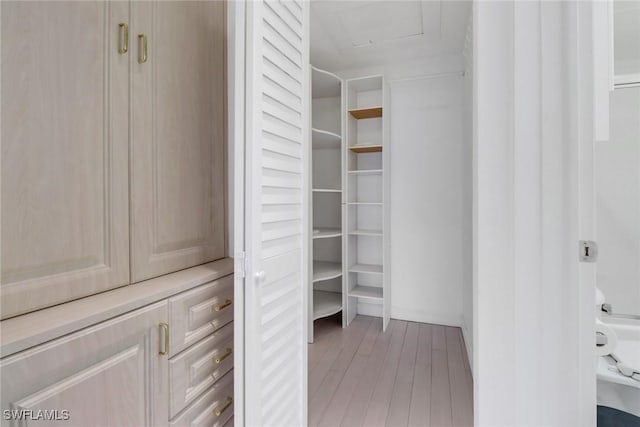 view of spacious closet