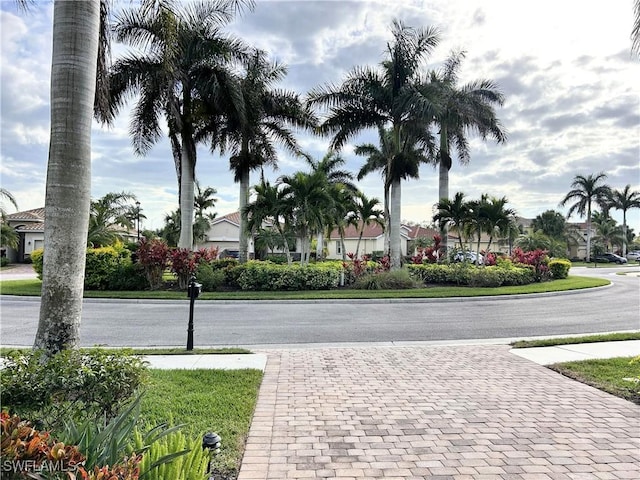 view of street featuring driveway