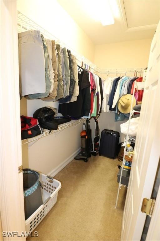 spacious closet featuring light carpet