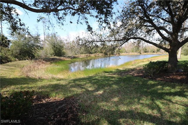 view of water feature