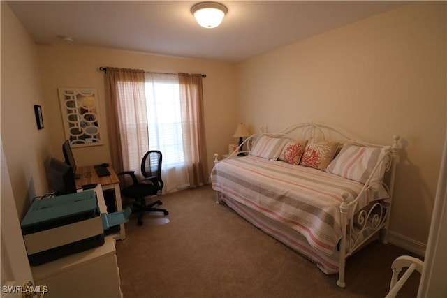 bedroom featuring carpet flooring